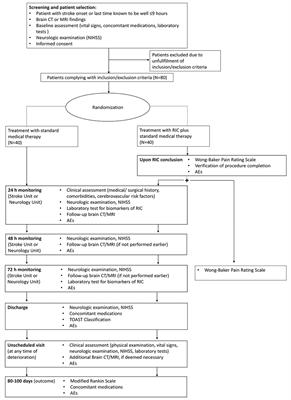 Multi-Center Randomized Phase II Clinical Trial on Remote Ischemic Conditioning in Acute Ischemic Stroke Within 9 Hours of Onset in Patients Ineligible to Recanalization Therapies (TRICS-9): Study Design and Protocol